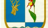 karacsonyfa-gyujtes