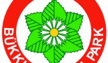 kezelesi-terv-tervezet