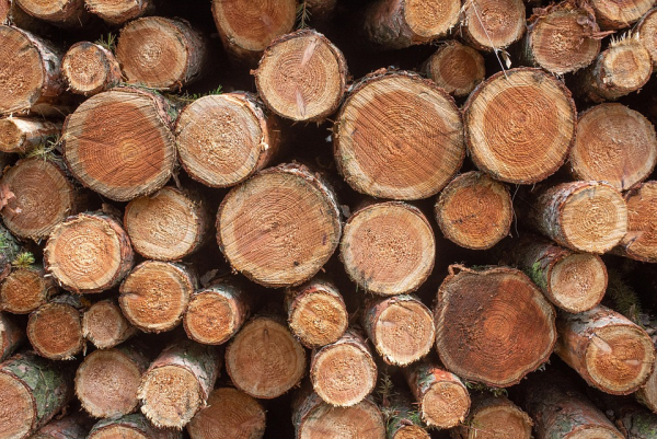 Tájékoztatás szociális tűzifa támogatásról