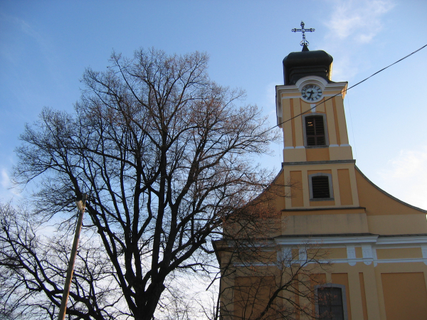 Hirdetmény- Szentmise